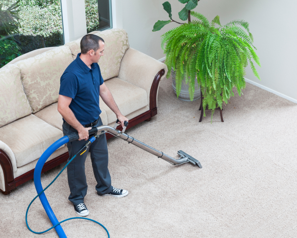 cheap carpet cleaning adelaide