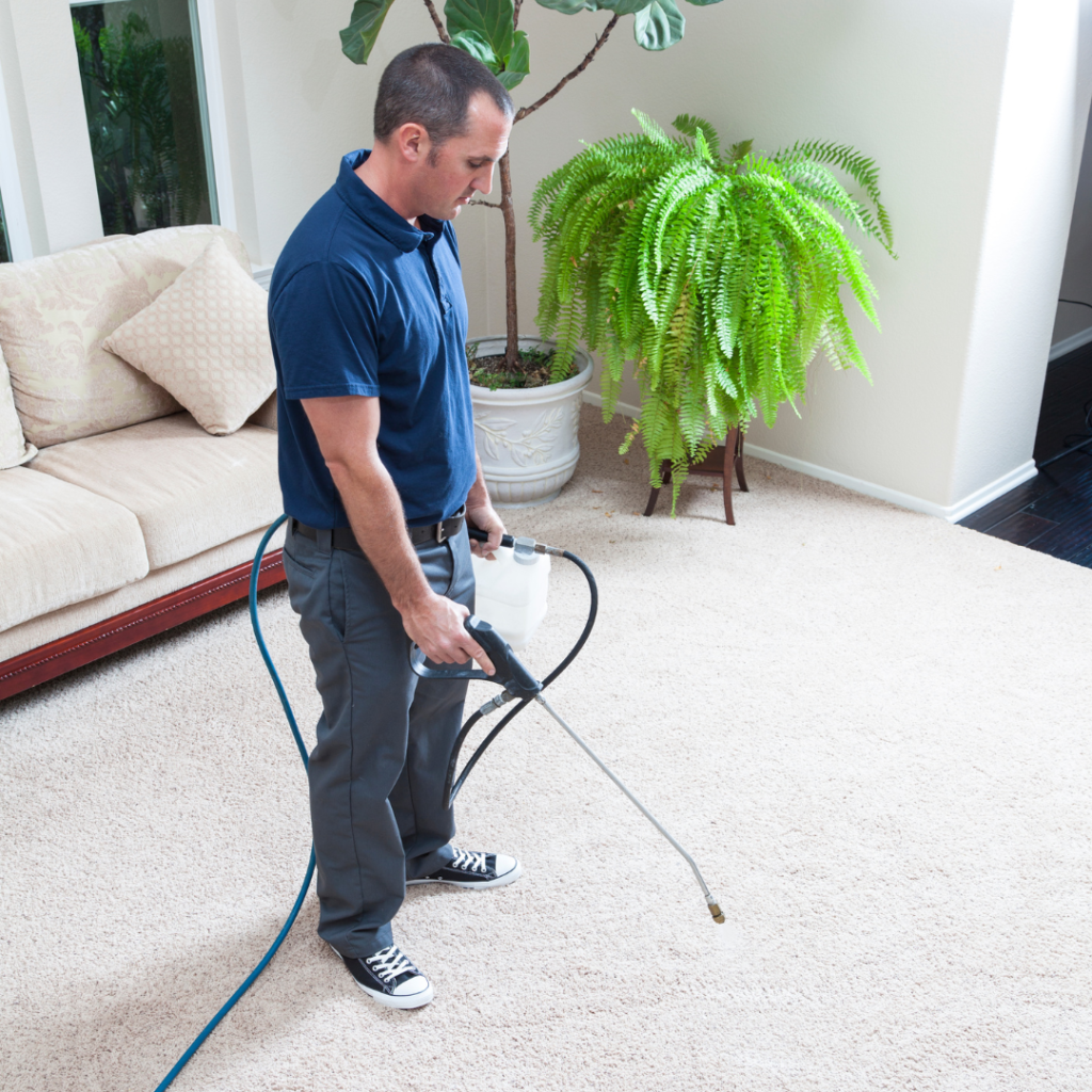 cheap carpet cleaning adelaide